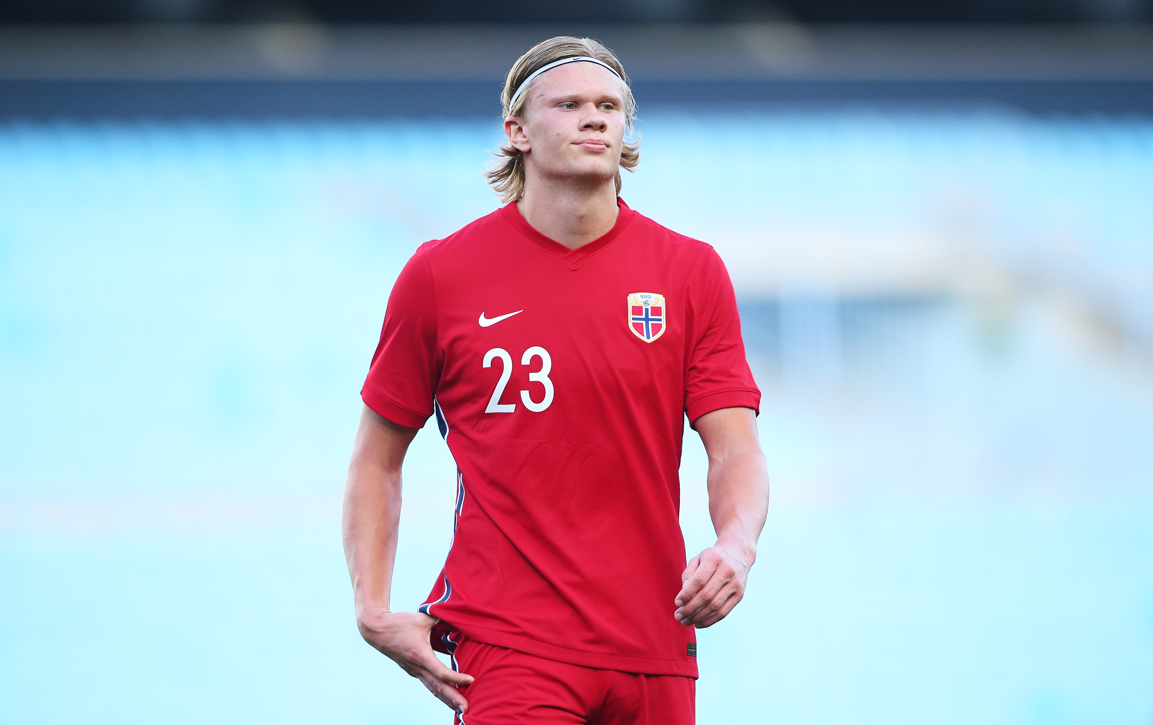 作进化为全 作进化为全